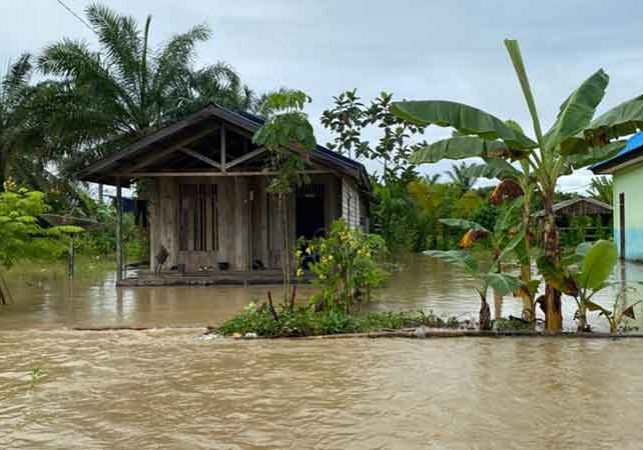 Banjir di Kecamatan Long Kali dan Muara Komam merendam 14 Desa dan 2 Kelurahan. (dok. simpul.media)